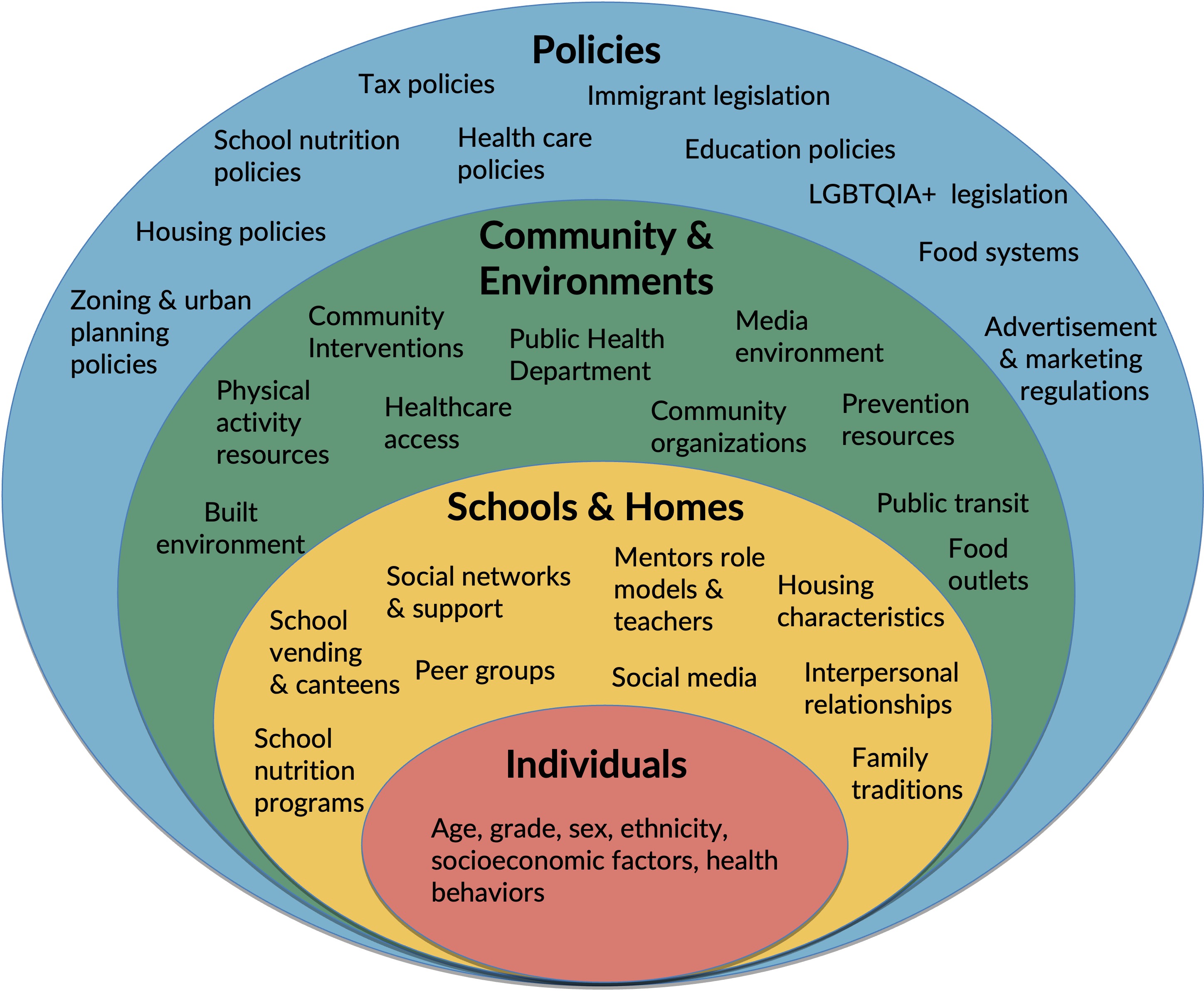 image of the Socio-ecological Model Framework (adapted)